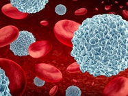 Infographic: Adoptive Cellular Therapy at a Glance