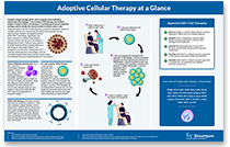 Adoptive Cellular Therapy at a Glance