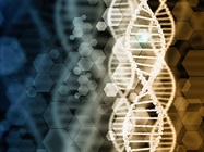 Using Cell Line-Derived Controls to Advance Cancer Diagnostics