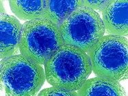 Overcoming Limitations of Conventional Cell Sorting