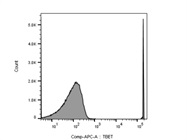 Good T-bet Antibody