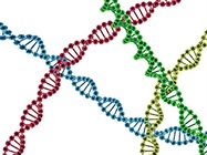 Tools and Techniques for Studying DNA Methylation Status