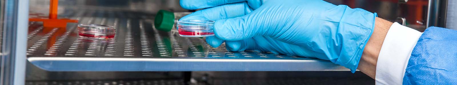  CO<sub>2</sub> Incubator Buying Guide