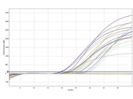 Dependable Results from Qiagen QuantiTect Probe RT-PCR Kit