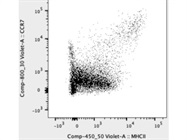 CCR7 Antibody Works Great