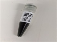 Very Good DNA Ladder from ThermoFisher