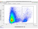 Amazing CD45 Antibody