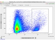 Amazing CD45 Antibody