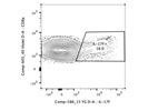 Amazing Anti-mouse IL-17F Antibody