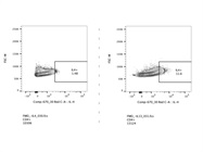 Reliable IL-4 Staining