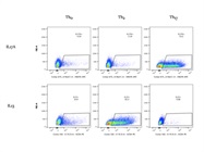 Great Antibody for IL-13 Reporter Mice
