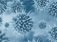 Tools to Streamline Infectious Disease Workflows