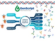 CHO Based High Throughput Recombinant Protein and Antibody Production