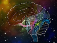 Multi-omics Approaches for Neurobiology Research