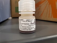 Good IP Magnetic Beads