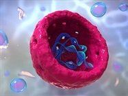 Advantages of NGS-based SNP Genotyping for Cell-Line Authentication