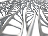 Optimizing RNA-Seq Workflows