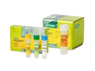 SEQuoia RiboDepletion Kit