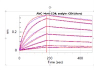 Evaluate Binding of CD4-his to Anti-Human CD4