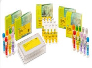 SEQuoia Complete Stranded RNA Library Prep Kit