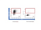 CD25 Antibody Works Amazing