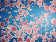CRISPR Screening for Neurological Diseases
