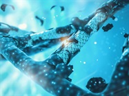 Infographic: Optimizing Your CRISPR Screening Workflow