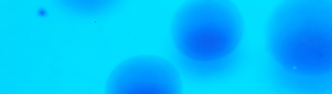  Mass Cytometry for Clinical Research