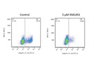 Great IL-2 Antibody