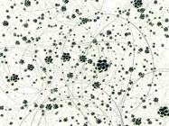 How Mass Spectrometry Is Revolutionizing Precision Medicine