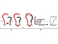 Fractalkine Human ProQuantum Immunoassay Kit