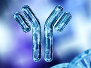 Antibody Validation for Flow Cytometry