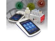 Qubit Quantification System