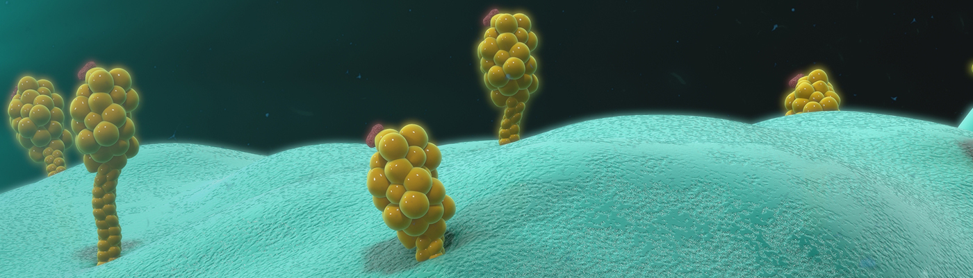  Cytokine Release and Adoptive Cellular Therapy
