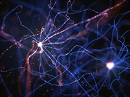 Studying Neurodegenerative Diseases at the Molecular and Cellular Level