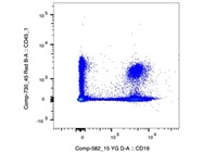 Great CD19 Antibody