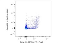 Great FOXP3 Antibody