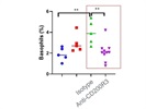 Basophil Depletion is Not the Best