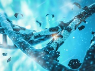Tools and Strategies to Help Ensure CRISPR Experimental Success