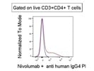 Consistent Secondary Antibody