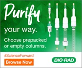 Purify your way: prepacked or disposable columns