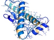 Understanding PROTACs-Mediated Targeted Protein Degradation
