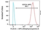 Brightly Stained Anti-human CD73-APC Antibody for Flow