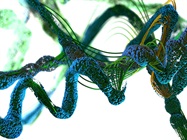 Glycan Analysis Becomes a QC Specialty