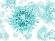 Determining the Cell Entry Mechanism of SARS-CoV-2