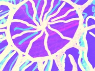 Multiplexing Workflows for Biomarker Discovery