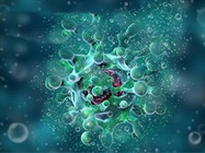 Improving Apoptosis Detection with Calcium-Independent Probes