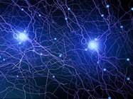 Microscopy Advances Accelerate Neuroscience Research