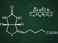 Effect of Streptavidin R Phycoerythrin Conjugate Size on Fluorescence Signal in Biotinylated Bead Assays