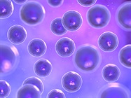 Decision-Making for RNA Sequencing